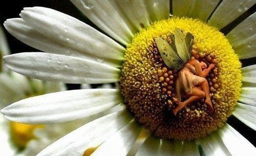 Secret Garden Bed And Breakfast Τακόμα Εξωτερικό φωτογραφία